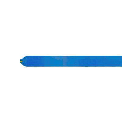 Smooth competition silk ribbon 6m